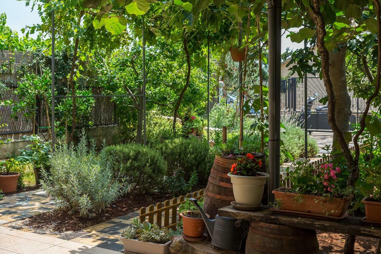 Apartment Olga بولا المظهر الخارجي الصورة